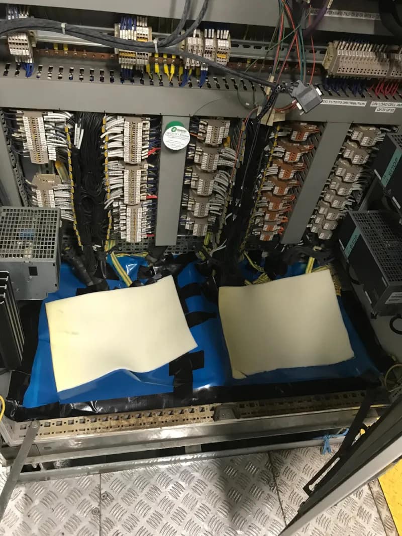 IMG_0239-new IMG_0239-new