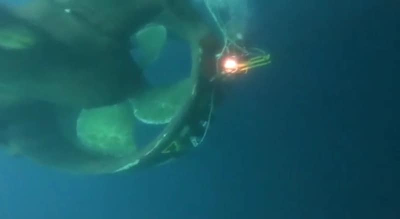 Underwater-Diving-Inspection-of-Thruster-After-Collision-new